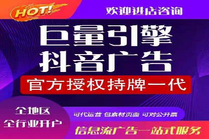 行业趋势下的SEM营销策略及成功案例研究